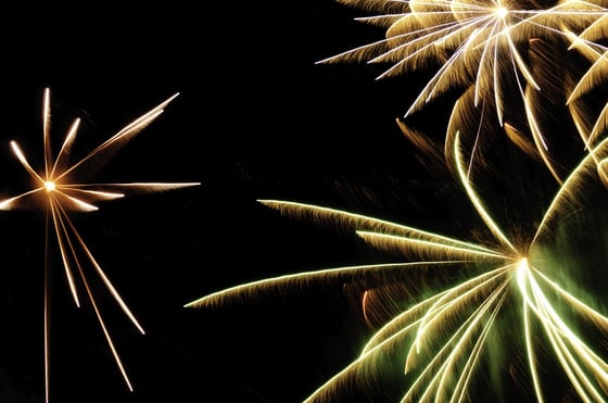 Bursts of fireworks with white-hot cores and reddish-orange, greenish, and white streaks with feathery motion blur.jpeg